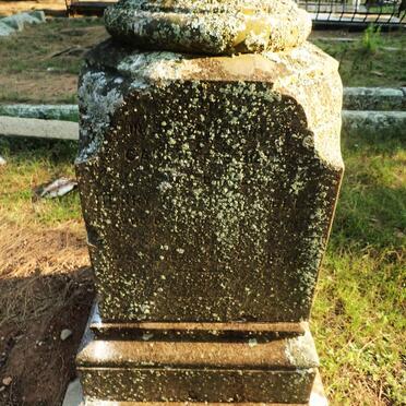 WELLS Henry Harrison -1890