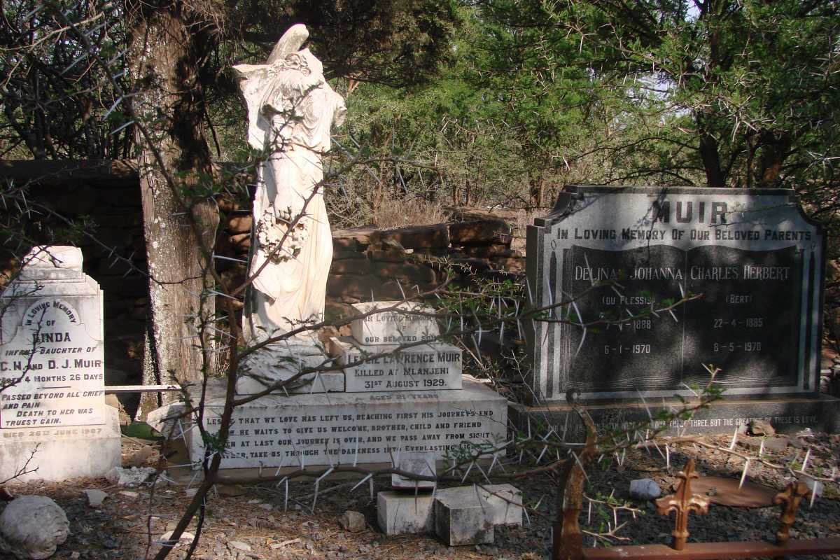 5. MUIR family graves