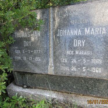 D - Vanne :: Surnames - D