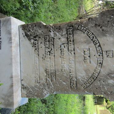 GREYLING Hercules Johannes 1853-1922