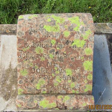 NEL Johannes Marthinus 1880-1945