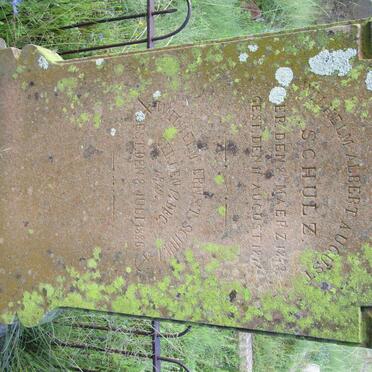 SCHULZ Wilhelm Albert August 1873-1874 :: SCHULZ Wilhelm Ernst 1879-1886