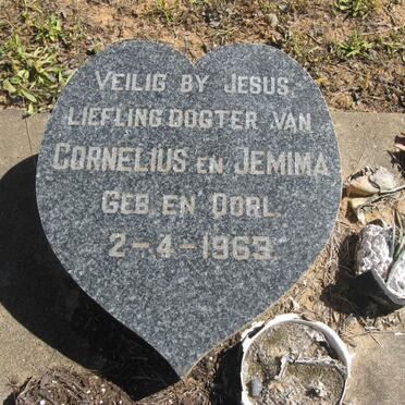 ? Baby Girl 1963-1963