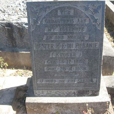 PIESANIE Hester H.E., du nee KRUGER 1882-1930