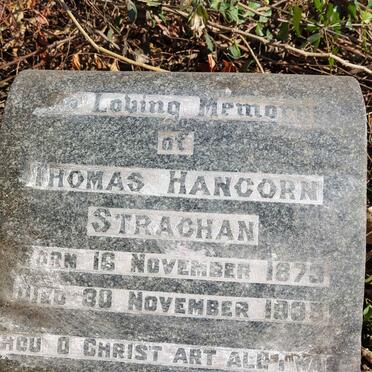 STRACHAN Thomas Hancorn 1873-1935