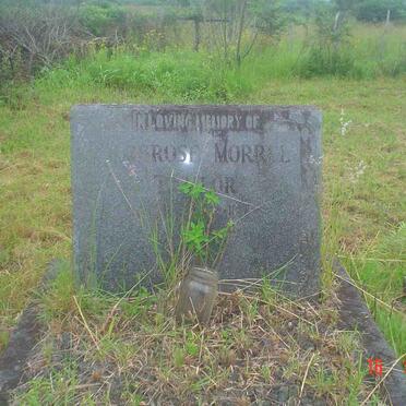 TAYLOR Ambrose Morrell 1892-1959