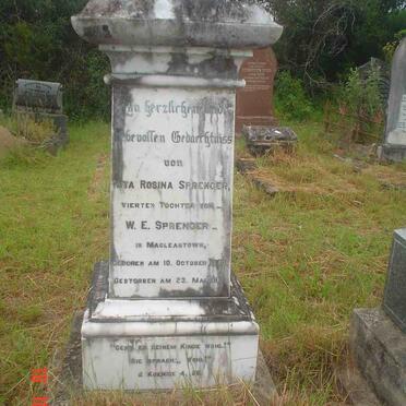 SPRENGER Nita Rosina 1898-1911