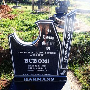 HARMANS Bubomi 2004-2019