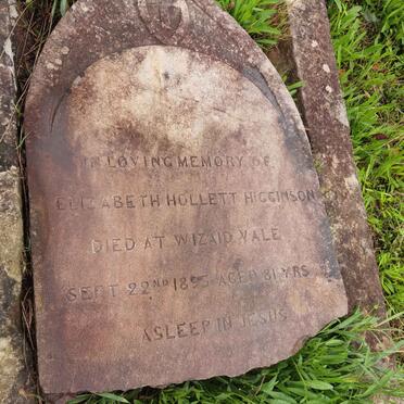 HIGGINSON Elizabeth Hollett -1895