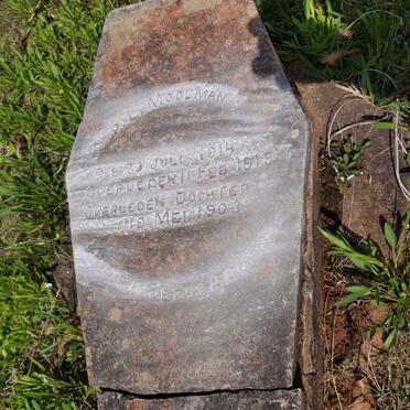 MOOLMAN P.L. 1914-1915 :: MOOLMAN dogter -1903