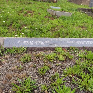 ROOS Andries Gerhardus Matheus 1871-1951 &amp; Petronella Sophia 1881-1966