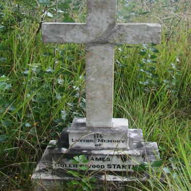 STARTUP James Collingwood