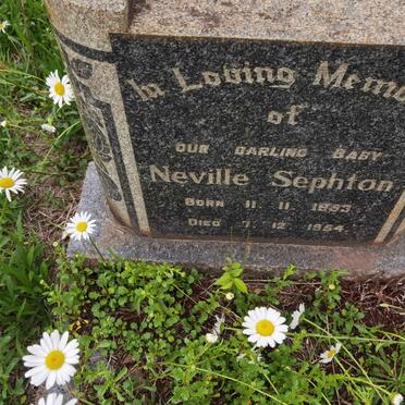 SEPHTON Neville 1953-1954