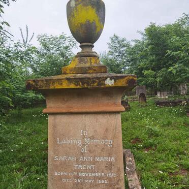 TRENT Sarah Ann Maria 18?2-1893
