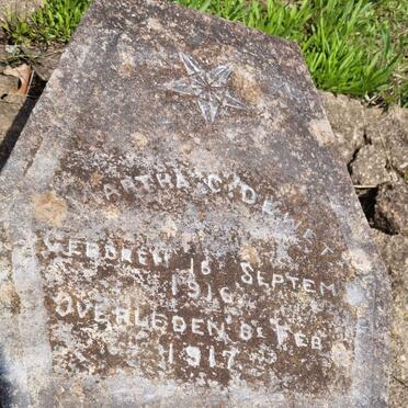 WET Martha C., de 1916-1917