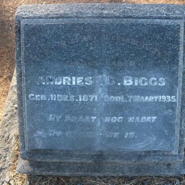 BIGGS Andries G. 1871-1935