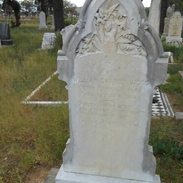 BIGGS William Charles 1904-1915