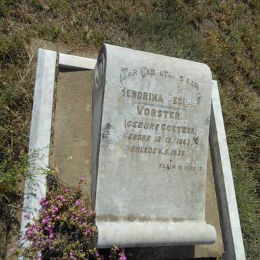 VORSTER Hendrina Cecilia nee COETZEE 1863-1936