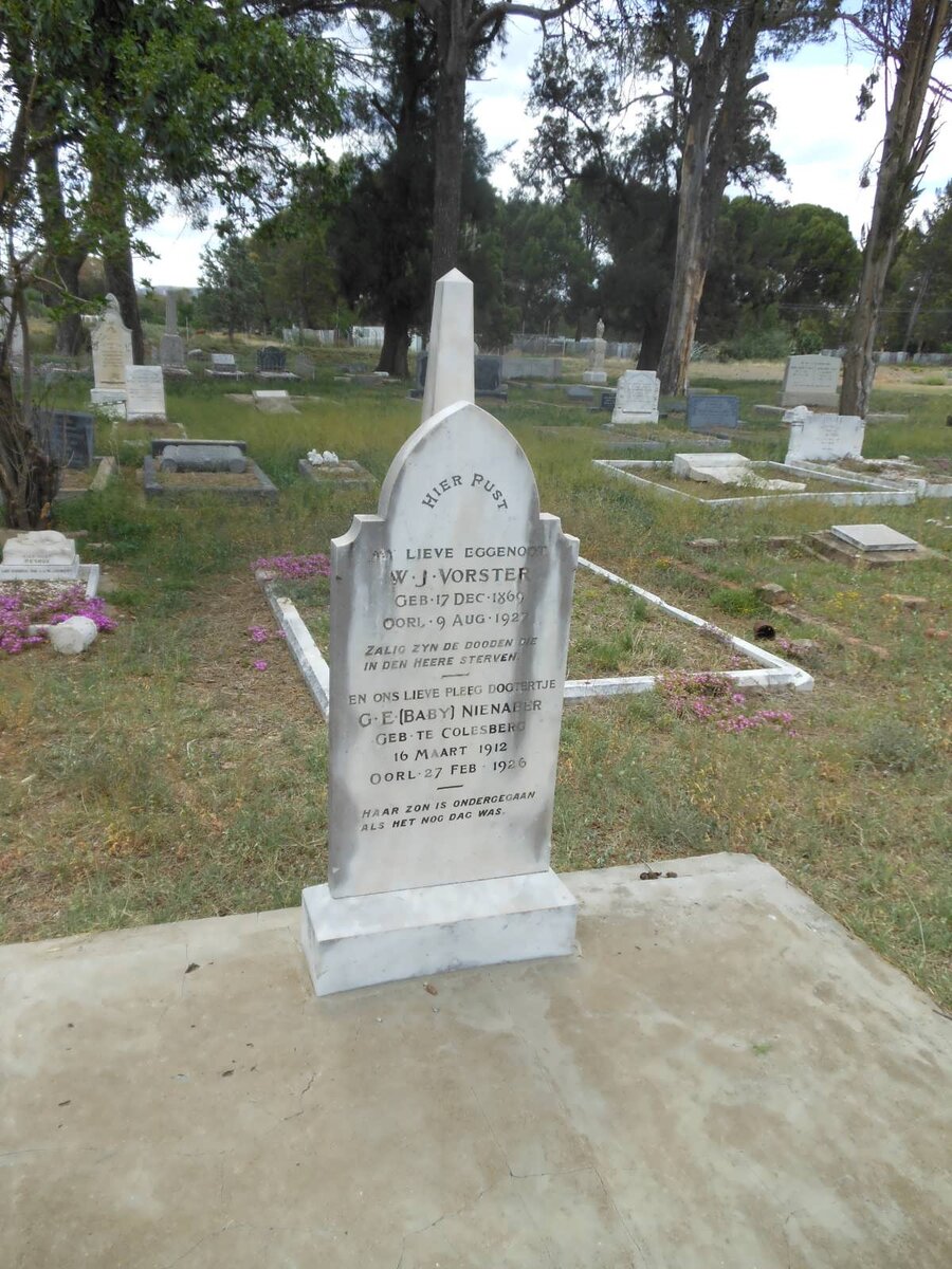 VORSTER W.J. 1869-1927 :: G.E. NIENABER 1912-1926