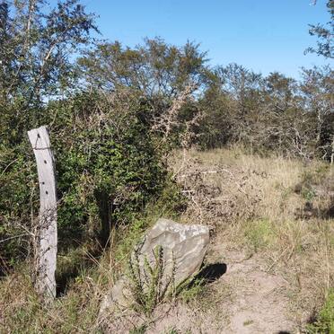 2. Overview / Oorsig