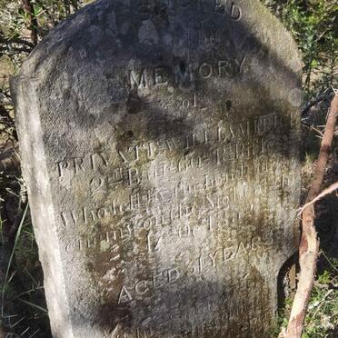 Eastern Cape, MIDDLEDRIFT district, Debe Valley, Old Trust Land, Fort White, small cemetery