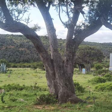 6. Overview / Oorsig