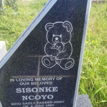 YONO Thamsanqa -? :: NCOYO Aphelele -2000 :: NCOYO Sisonke -2000 _2