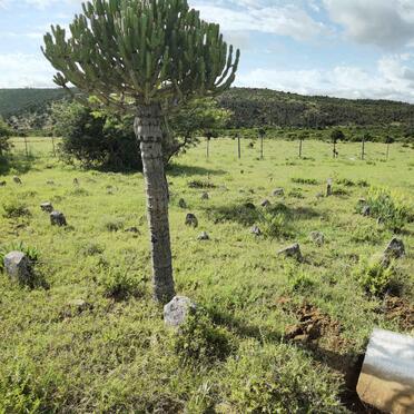 4. Overview Old section / Oorsig ou gedeelte