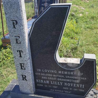 PETER Ninah Lilly Noventi 1907-1984