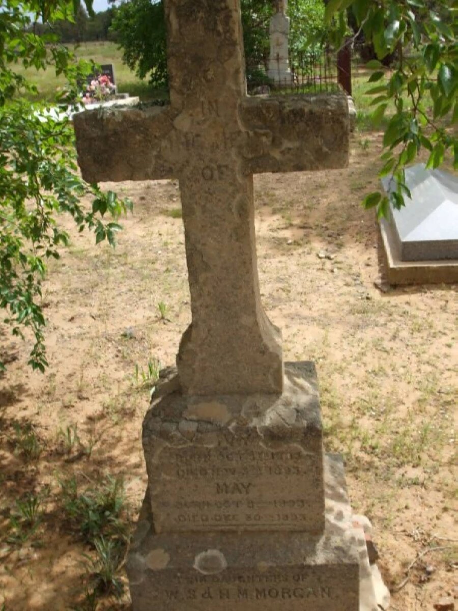 MORGAN Ivy 1903-1903 :: MORGAN May 1903-1903