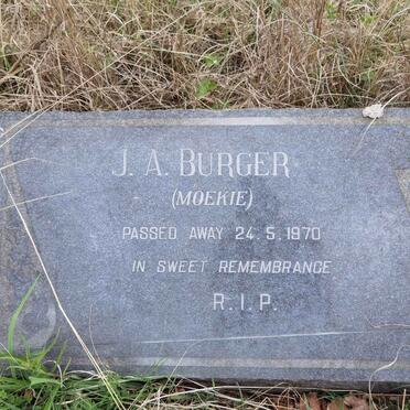 BURGER J.A. -1970