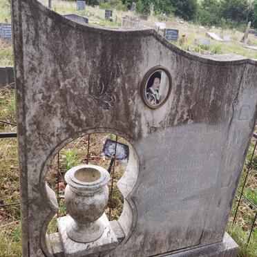 NOZIBELE Primrose 1942-1995