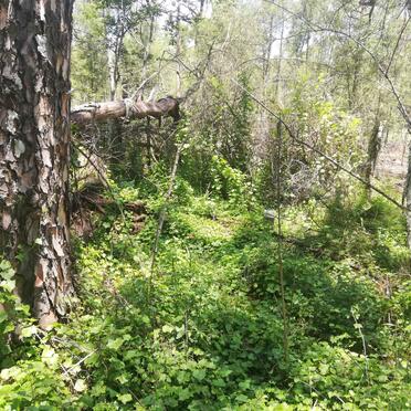 3. Oorsig / Overview