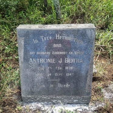 BOTHA Anthonie J. 1879-1947