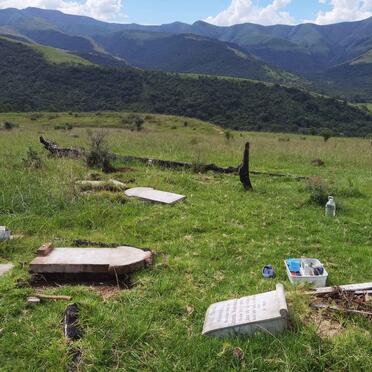 4. Overview / Oorsig