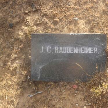 RAUBENHEIMER J.C.