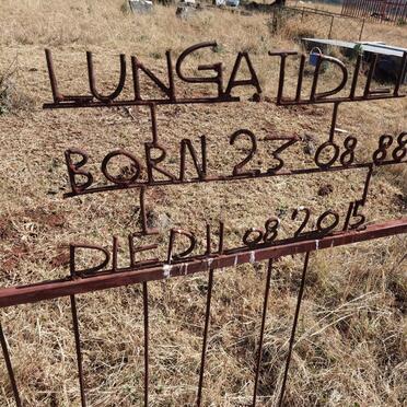 TIDILI Lunga 1988-2015