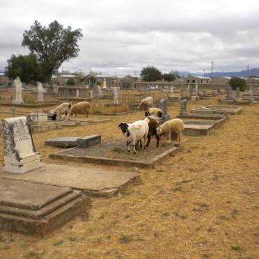 Eastern Cape, PEARSTON, Main cemetery