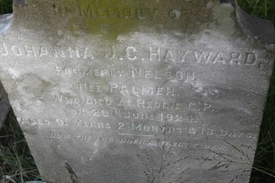 HAYWARD Johanna J.C. formerly NELSON nee PALMER -1924