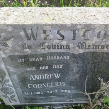 WESTCOTT Andrew Cornelius 1882-1968