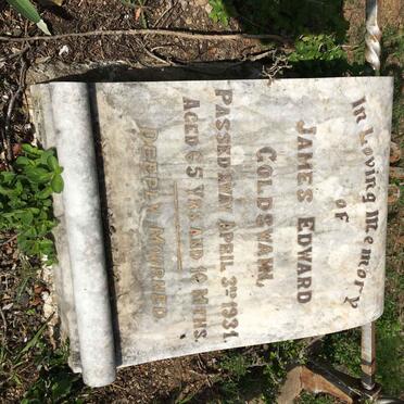 GOLDSWAIN James Edward -1931