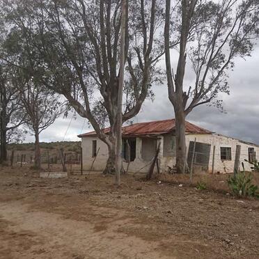 Eastern Cape, PEDDIE district, Old German Settlement outside Peddie, cemetery