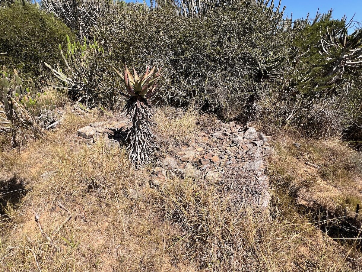 1. Oorsig / Overview: Graves