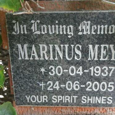 MEYER Marinus 1937-2005