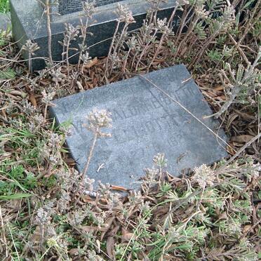 ELLIOTT Lyall Haldane 1922-??