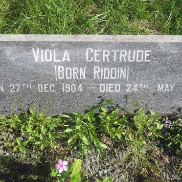 FROST Viola Gertrude nee RIDDIN 1904-1980