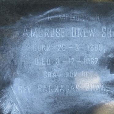 SHAW Ambrose Drew 1895-1967