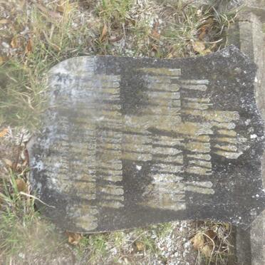 AYRES Florence Katharine 1874-1949