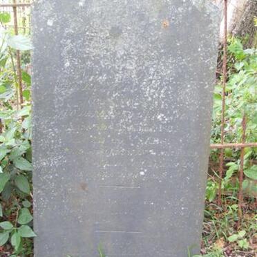 D - Vanne :: Surnames - D