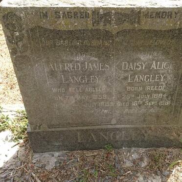 LANGLEY Alfred James -1958 &amp; Daisy Alice REED 1884-1961